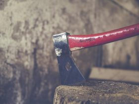 Explore the Power and Precision of the Best Cordless Drills for Home Improvement Projects