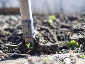 Ryobi vs DeWalt Cordless Tools: Unveiling the Best for Your DIY Projects