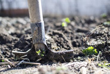 Ryobi vs DeWalt Cordless Tools: Unveiling the Best for Your DIY Projects