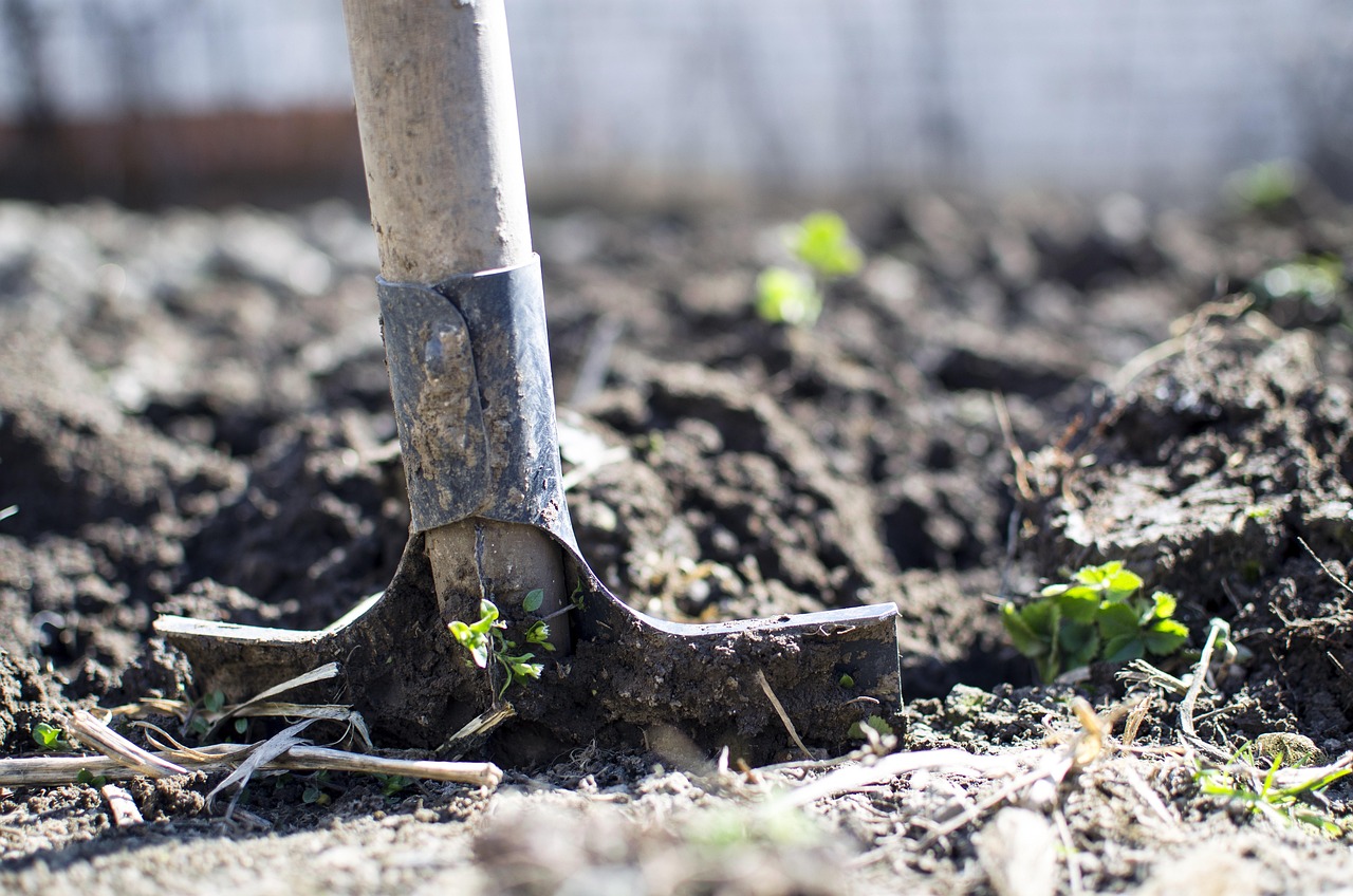 Ryobi vs DeWalt Cordless Tools: Unveiling the Best for Your DIY Projects